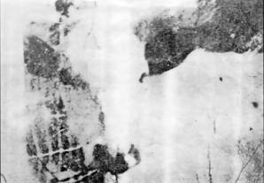 Mystery image